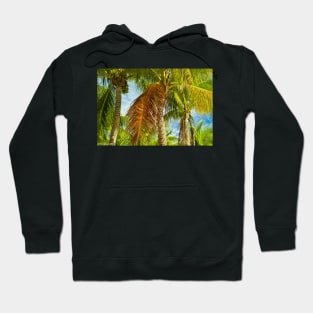 Coconut palms Hoodie